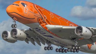 60 MINUTES PURE AVIATION  AIRBUS A380 B747 IL62 IL76 AN12 and more 4K [upl. by Abell434]