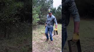 How to make a Dirt hole set for Trapping [upl. by Wini]