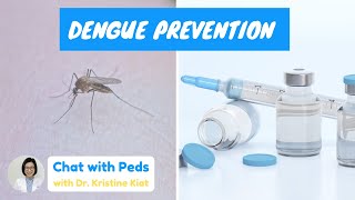 Prevent DENGUE FEVER  PPS NEL Dengue Integrated Program  Chat with Peds  Dr Kristine Alba Kiat [upl. by Ojybbob734]