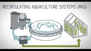 What is landbased fish farming [upl. by Einnaj521]