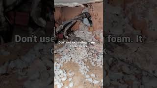 Expanding foam will not stops rats and mice [upl. by Bradway]