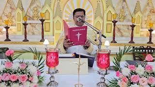 Holy Mass August 12 Monday 0845 AM I Malayalam I Syro Malabar I Fr Bineesh Augustine [upl. by Aissak449]