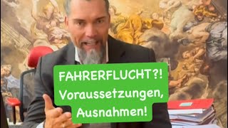 Von einer Unfallstelle zu flüchten kann sehr unangenehme Konsequenzen haben Welche nicht HIER [upl. by Vaenfila]