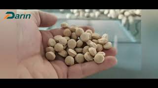 Dog Kibble Manufacturing How Its Made Dry Pet Food Extruding Line Dog Kibble Extruder Machine [upl. by Rodgiva196]