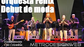 Debut de moda Orquesta fenix homenaje a la Orq exodo [upl. by Nyrac]