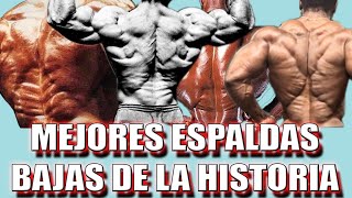 🎄💪TOP 10 MEJORES ESPALDAS BAJAS DE LA HISTORIA🔥🎄 [upl. by Nilreb]