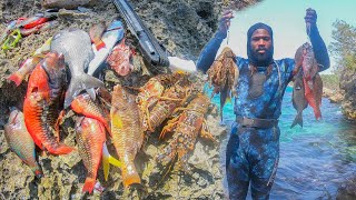 How I Shoot Fish Easy No Problem  Catch Clean N Cook [upl. by Biron]