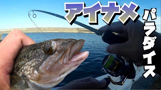 アイナメの楽園より ヒットワームは ECOGEARエコギア GRASS MINNOW グラスミノー S グロウウォーターメロンバック！ [upl. by Berner]