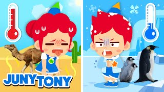 🔥❄️ Hot vs Cold  Polar Region Animals vs Desert Animals  Kids Songs  JunyTony [upl. by Breen594]