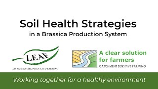 Soil Health Strategies in a Brassica Production System [upl. by Christianity]