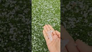 hailstone rain in Birmingham UK youtubeshorts uk hailstones rain spring youtube weather [upl. by Bevvy]