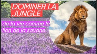 Réveille le lion qui dort en toi  Pensées Positives Puissantes [upl. by Niassuh572]