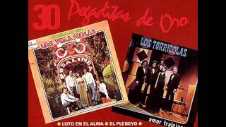 Los Terrícolas 30 Pegaditas de Oro Vol 1 1992 Disco Completo [upl. by Tnek]