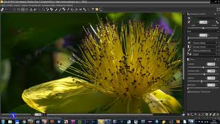 Adjusting Highlights and Shadows in Silkypix [upl. by Halden505]