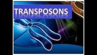 Transposons  Microbial Genetics  2024 [upl. by Nomaj]