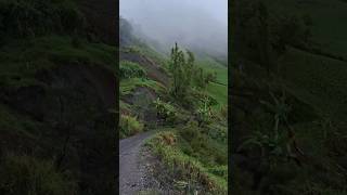 Landslides break all the trees and smashing down  Part 180 shorts trending viralshorts [upl. by Talya]