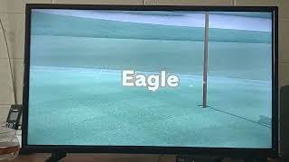 Wii Sports Club Golf Resort 5 1 Bounce Eagle Chip [upl. by Nellahs678]