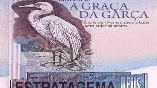 ESTRATAGEMA DE DEUS  A VERDADE LIBERTA  A GRAÇA DA GARÇA [upl. by Ariad282]