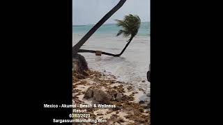 2023 Sargasses  Akumal  Beach amp Wellness Resort [upl. by Llewen]