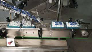 Label Applicator for Punnet of Fruits and Vegetables  Top Labeling Machine  Shiv Shakti Machtech [upl. by Modeerf351]