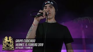 Nuevos Corridos De Grupo Codiciado 2019 [upl. by Crawford]