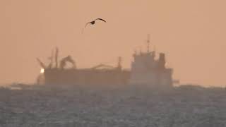 Stunning Views of the English Channel Horizon from Seaford  P900 Zoom [upl. by Yrreiht]