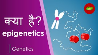 Science of epigenetics in Hindi Gene Expression  Genetics  Basic Science Series [upl. by Borries]