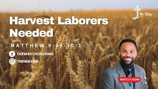 Harvest Laborers Needed  Stephen Brown  The Way Church [upl. by Chico]