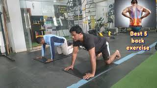 BEST 5 LOWER BACK PAIN RELIEF EXERCISES kgfvelubhaifitness FitnessTrainerHussain [upl. by Arbe]