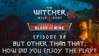 The Witcher 3 BaW  Lets Play Blind  Episode 38 [upl. by Esinned]