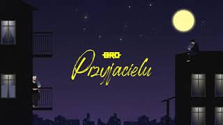 BRO  Przyjacielu [upl. by Petronille]