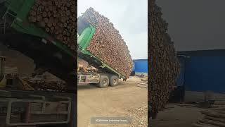 Process Of Dump Truck Unloading 45CBM Wood [upl. by Jermyn]