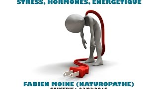 La fatigue chronique  hormones stress et énergétique [upl. by Eehtomit]