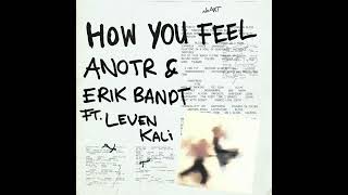 ANOTR Leven Kali Erik Bandt — How You Feel Jamek Ortega Remix [upl. by Suiradal]