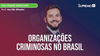 Organizações Criminosas no Brasil  Prof Murillo Ribeiro [upl. by Robet]