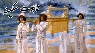 History Of Taboot e Sakina  Taboot e Sakina [upl. by Dorita]