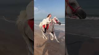 Beach horse ride so fun horse horser horseriding horselover [upl. by Avat]