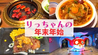 【年末年始】りっちゃんの年末年始【大阪・奈良】 [upl. by Werd]