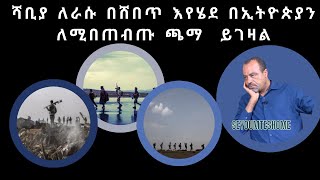 ሻቢያ ለራሱ በሸበጥ እየሄደ በኢትዮጵያን ለሚበጠብጡ ጫማ ይገዛል  seyoum teshome new [upl. by Aicital]