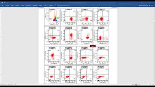 AML with NPM1 mutation [upl. by Eloc935]