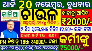 todays morning news odisha20 november 2024subhadra yojana online registrationodisha news today [upl. by Atik802]