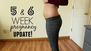 5 and 6 Week Pregnancy Update  Symptoms Cravings Life Update [upl. by Watt]