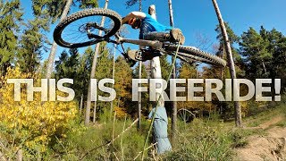 THIS IS FREERIDE  BIKEPARK TRIPPSTADT RAW [upl. by Naraj46]