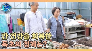 간 건강을 회복한 독초의 정체는 MBN 240719 방송 [upl. by Inalem757]