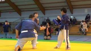 Yoseikan Budo Interclub 022014 [upl. by Novahc]