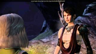 Dragon Age Origins Morrigan comments on Leliana romance [upl. by Ferdy400]