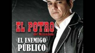 El Potro de Sinaloa  El Enemigo Publico Promo 2010 [upl. by Aicilet]