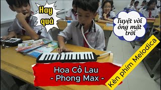 Kèn Phím Melodica  HOA CỎ LAU  PHONG MAX  Nguyễn Xuân Anh Cover [upl. by Shawn]