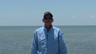 Texas Fishing Tips Fishing Report 8824 Port Aransas Area With Capt Monte Graham [upl. by Eno]