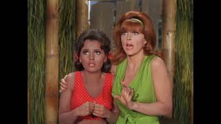 Not Guilty Ginger amp Mary Ann Gilligans Island Voiceover [upl. by Ahtaela]